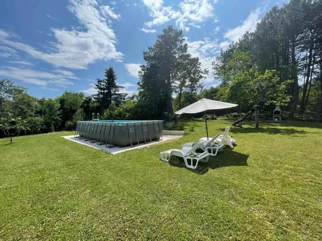 Apartment In Pican - Istrien 9991